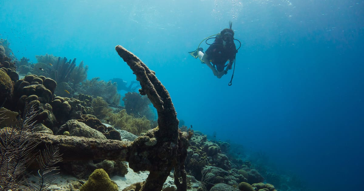 Diver shore diving over the reef drop-off on Bonaire (Photo: Kris Mikael Krister, CC BY 3.0, via Wikimedia Commons)
