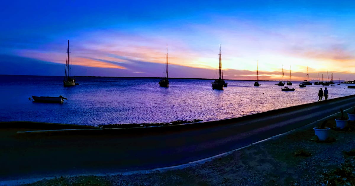 The seafront boulevard Kaya Craane in Kralendijk, Bonaire (Photo: Senor Luis Bertran, CC BY-SA 4.0, via Wikimedia Commons)