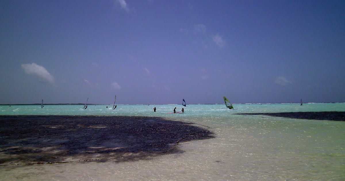 Windsurfers on the shallow flat water of Lac Bay, Bonaire (Photo: amanderson2, CC BY 2.0, via Wikimedia Commons)