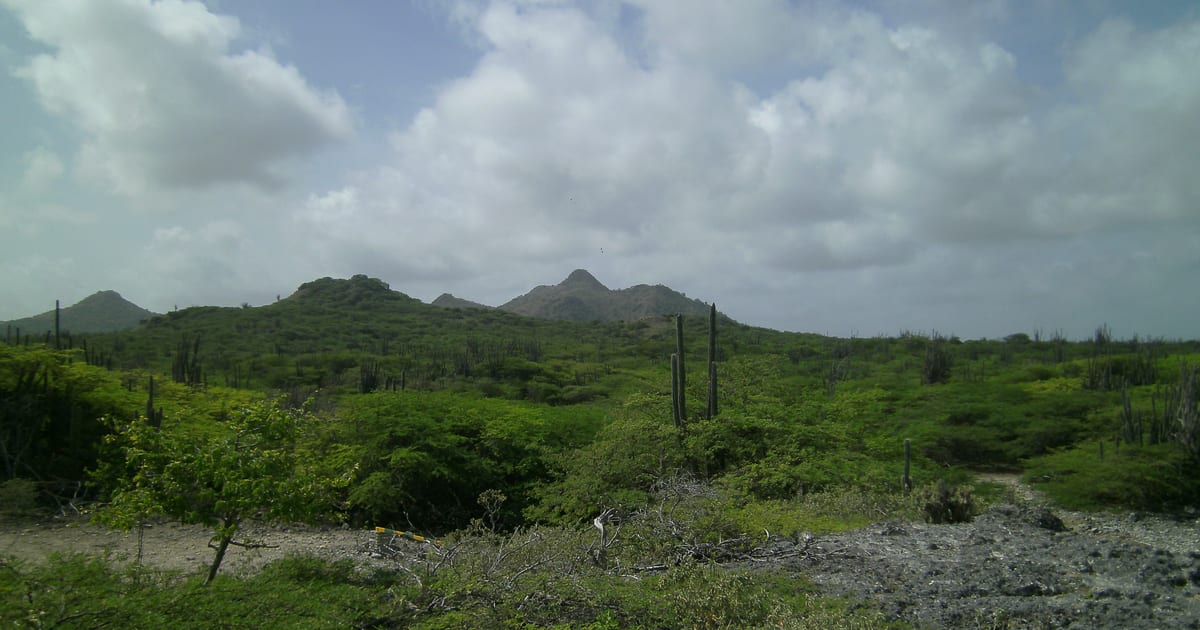 Arid cactus landscape and hills in Washington Slagbaai National Park, Bonaire (Photo: amanderson2, CC BY 2.0, via Wikimedia Commons)