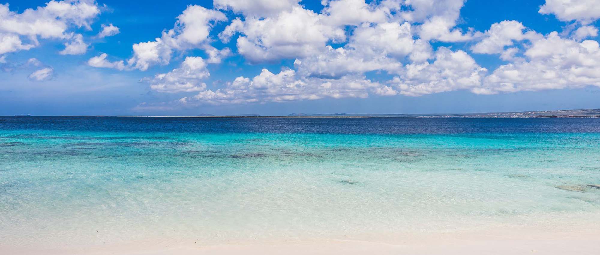 Te Amo Beach on Bonaire, an easy drive by golf cart